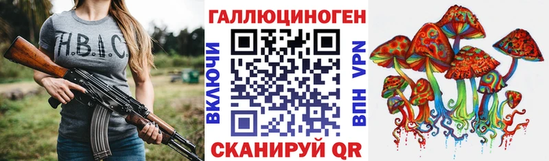 Галлюциногенные грибы Psilocybe Миллерово